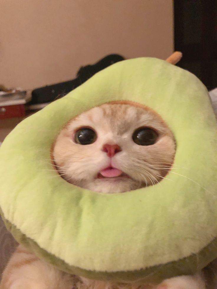 nathantewa's tweet photo. มุ้บๆคลู https://t.co/Lry78OqNRj
