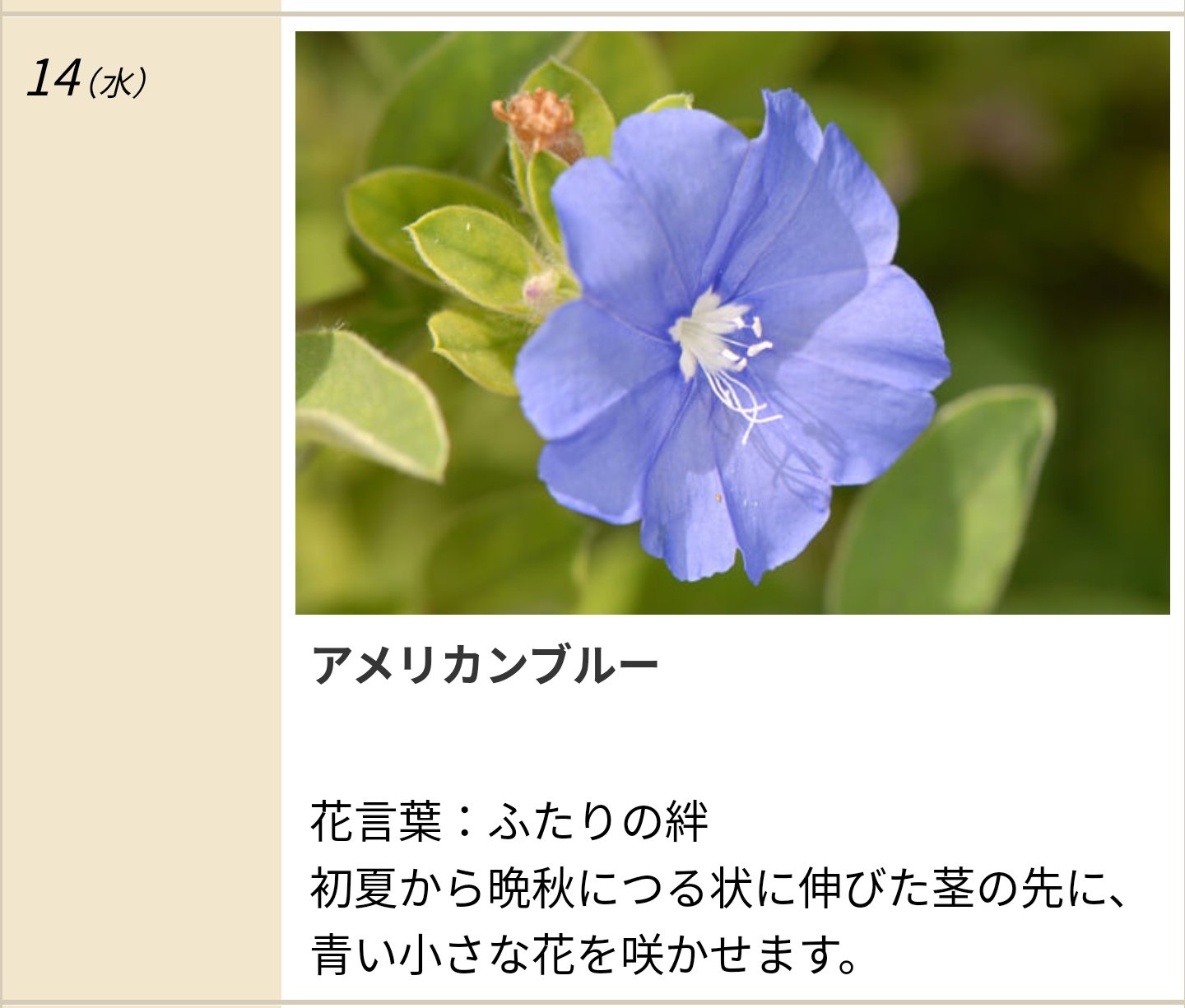 水無瀬ユエ 5 29インテ4号館 S16ab委託 Twitter પર 母の日ってことでなんとなくエルリの誕生花と花言葉を調べてたら エルヴィンは ふたりの絆 リヴァイは 純粋 だって ちなみにユエさんは 愉快 だった T Co Ufi7dwvlmd Twitter