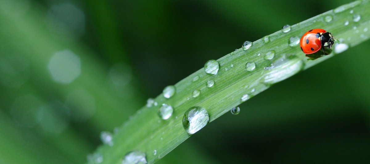 growingupwards's tweet photo. Growing Upwards Re-launch! - https://t.co/rJRSa52wp1 https://t.co/1JoqaWgoY4