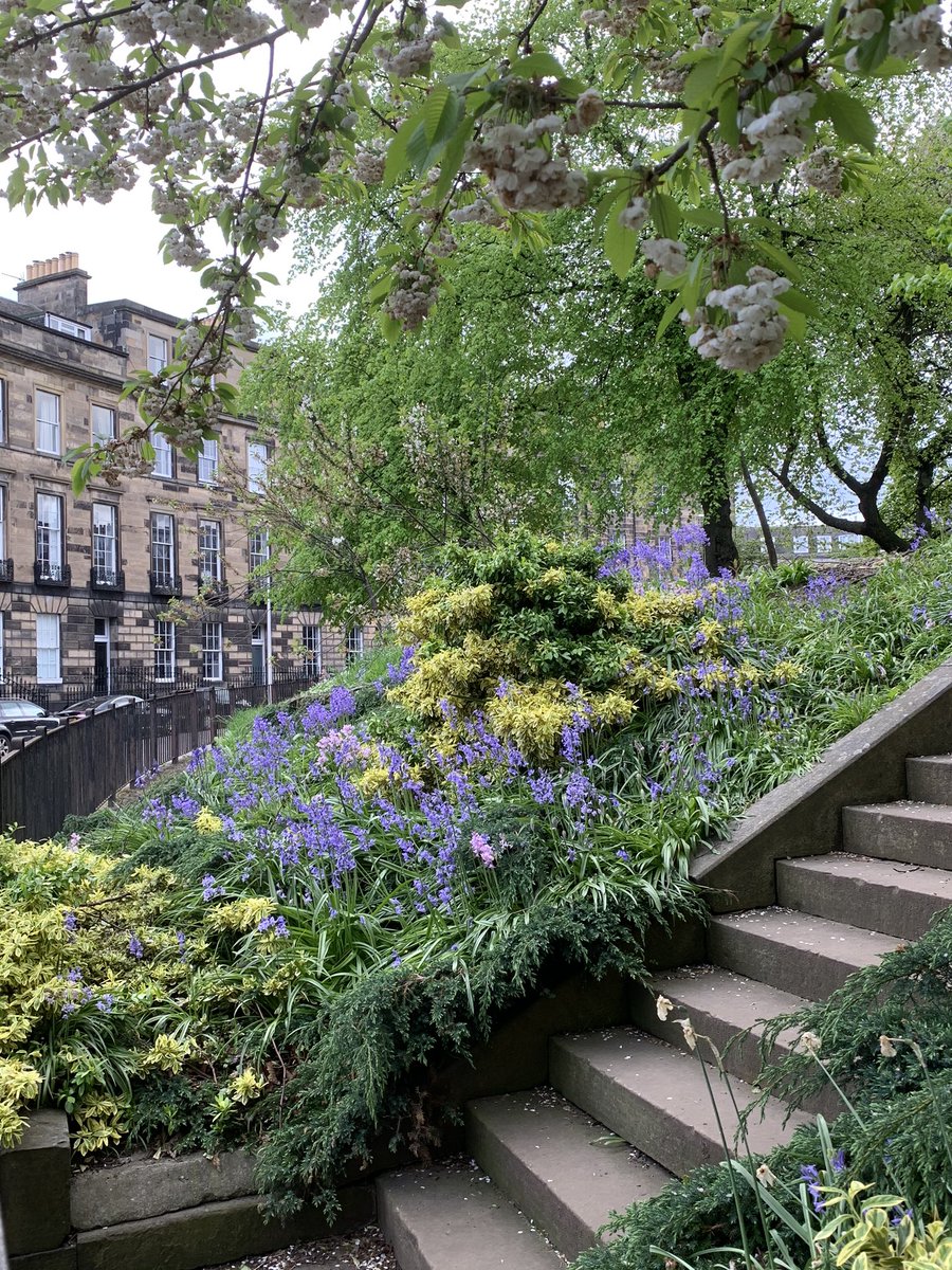 lucynorris1's tweet photo. Randolph Crescent and Moray Place #edinburghnewtown #randolphcrescent #morayplace https://t.co/TCuiVSBD5c