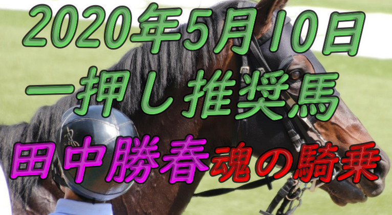 競馬 予想 ストマック