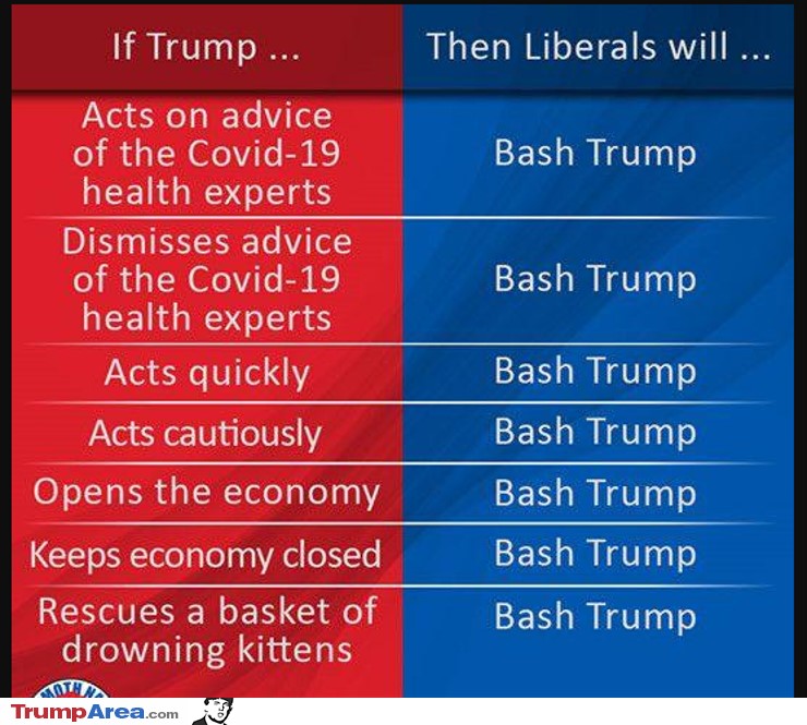 AnotherMercedes's tweet photo. If #Trump... #liberal #psycopaths will... https://t.co/xEJGC8RkWl