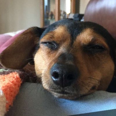 OfficialNRBurn's tweet photo. #NewProfilePic https://t.co/uEOPz1pTOr