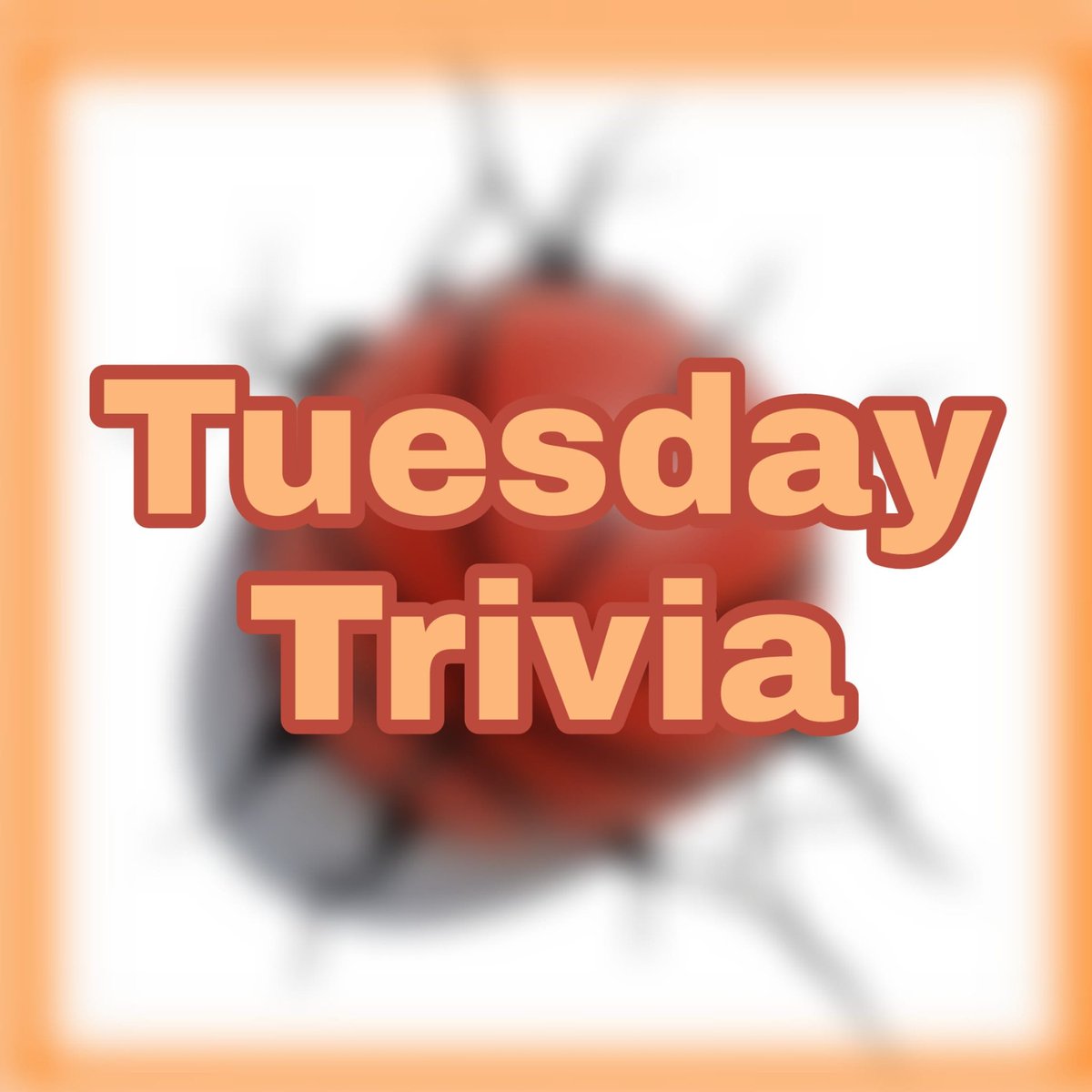 Excited to announce the next episode of "Tuesday Trivia" will be May 19th, 7 pm AT, featuring <a href="/tuffmustard/">Carly Jackson</a>, @jill_fly1, @chutch1387, <a href="/TayLeech/">Taylor Leech</a> &amp; <a href="/alymatteau/">alyson matteau</a> 

Watch Live here &amp; on
Facebook: facebook.com/FFMedia007
Periscope: pscp.tv/FFMedia68