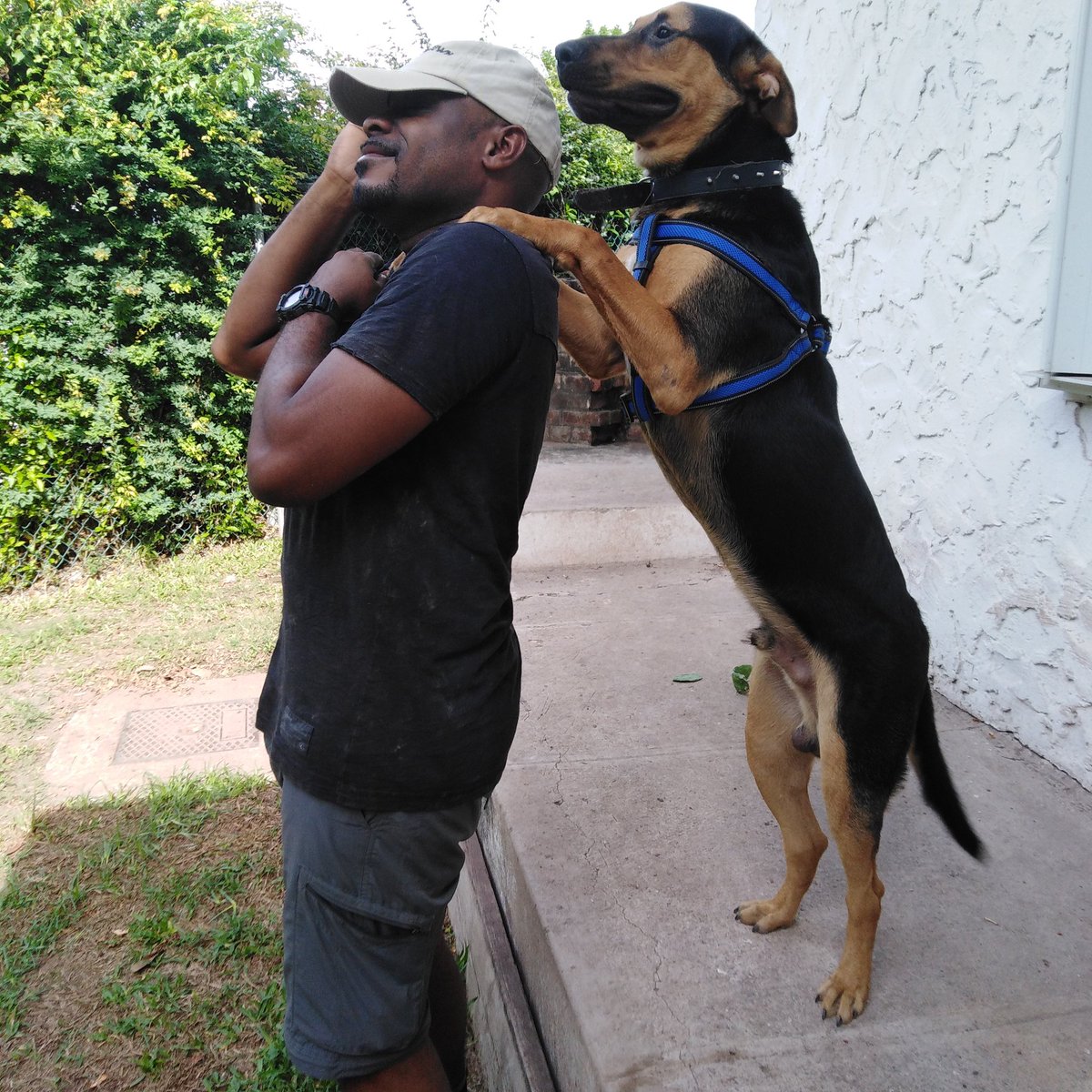 I'll always have your back, Dawg. Signed: Man's best friend.