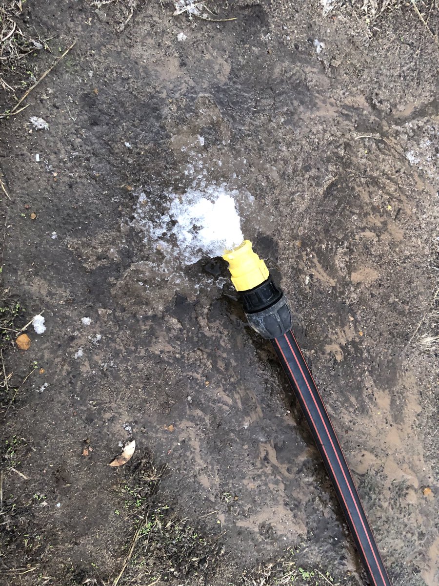 Nice morning for loading sheep. ❄️