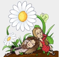 St. Mary's tweet media