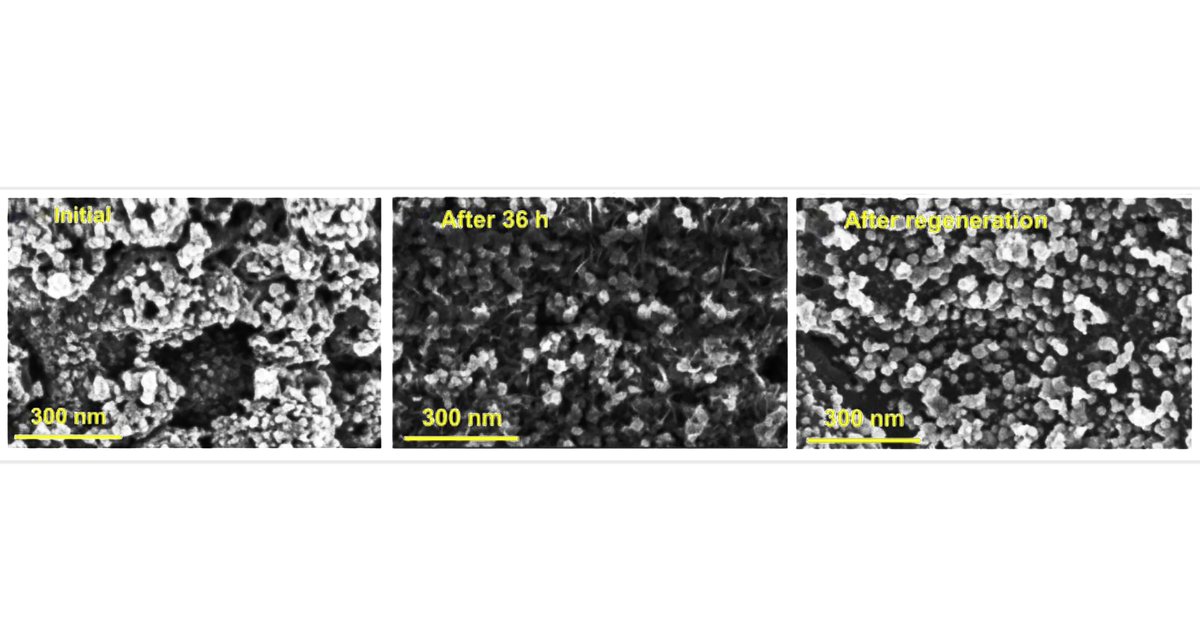MVisualization's tweet image. The long-term degradation study of the functionalized    palladium/Fe-poly(methacrylic acid)-PVDF membrane published in the Journal of Membrane Science by Dr. Dibakar Bhattacharyya group. Find the publication with this link sciencedirect.com/science/articl…

#science #membrane #separation