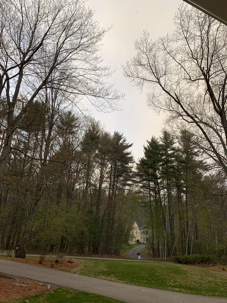 SarahLucyMurphy's tweet photo. Hard to see but it’s sunny and snowing. I repeat for the powers that be in the back... it’s May 9th.... https://t.co/V1dzNk8AyK