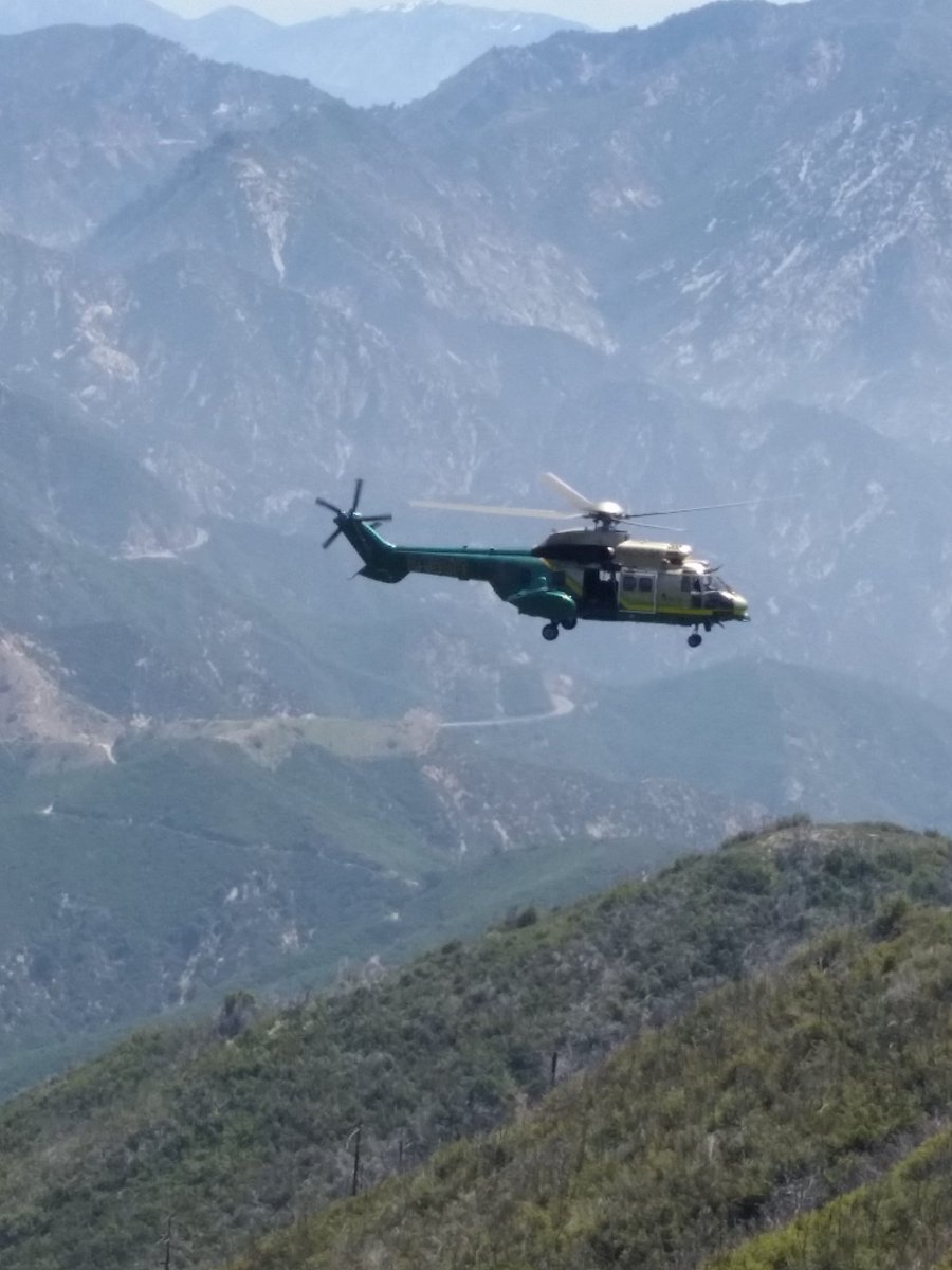 Montrose Search & Rescue Team tweet media