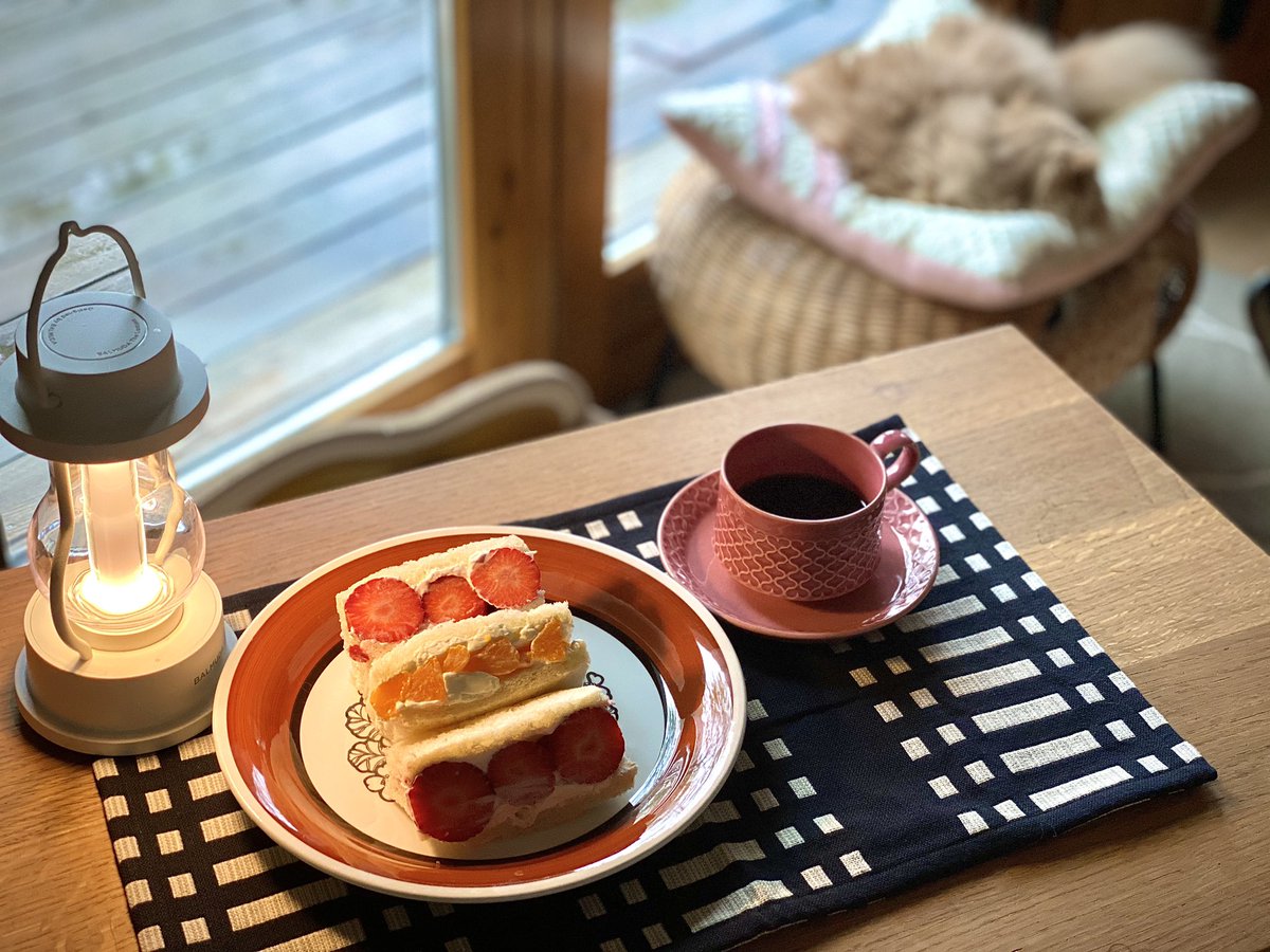 Arisa_Mamume's tweet photo. morning🍓🍊💕
#フルーツサンド
#朝ご飯 #おうちカフェ #おうちごはん
#gefleagneta #quistgaard
#クイストゴーコーディアル
#arabia
#ヨハンナグリクセン
#北欧
#STAYHOME週間 
#ねこ
#ノルウェージャンフォレストキャット https://t.co/6TUi5vStZ2