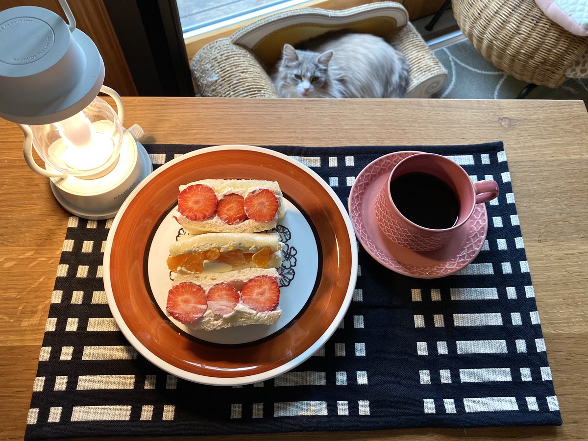 Arisa_Mamume's tweet photo. morning🍓🍊💕
#フルーツサンド
#朝ご飯 #おうちカフェ #おうちごはん
#gefleagneta #quistgaard
#クイストゴーコーディアル
#arabia
#ヨハンナグリクセン
#北欧
#STAYHOME週間 
#ねこ
#ノルウェージャンフォレストキャット https://t.co/6TUi5vStZ2