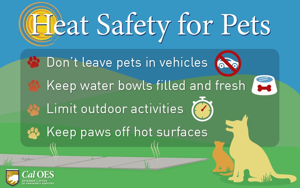 If you are hot, then they probably are too. Make sure to check on your pets and follow these tips so they stay safe. You can find more info here: tinyurl.com/y54rvhar #BeatTheHeat