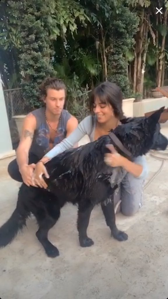 chaomendespage's tweet photo. SHAWN ESTÁ AO VIVO COM A CAMILA NO TIKTOK https://t.co/Dayt0995e3