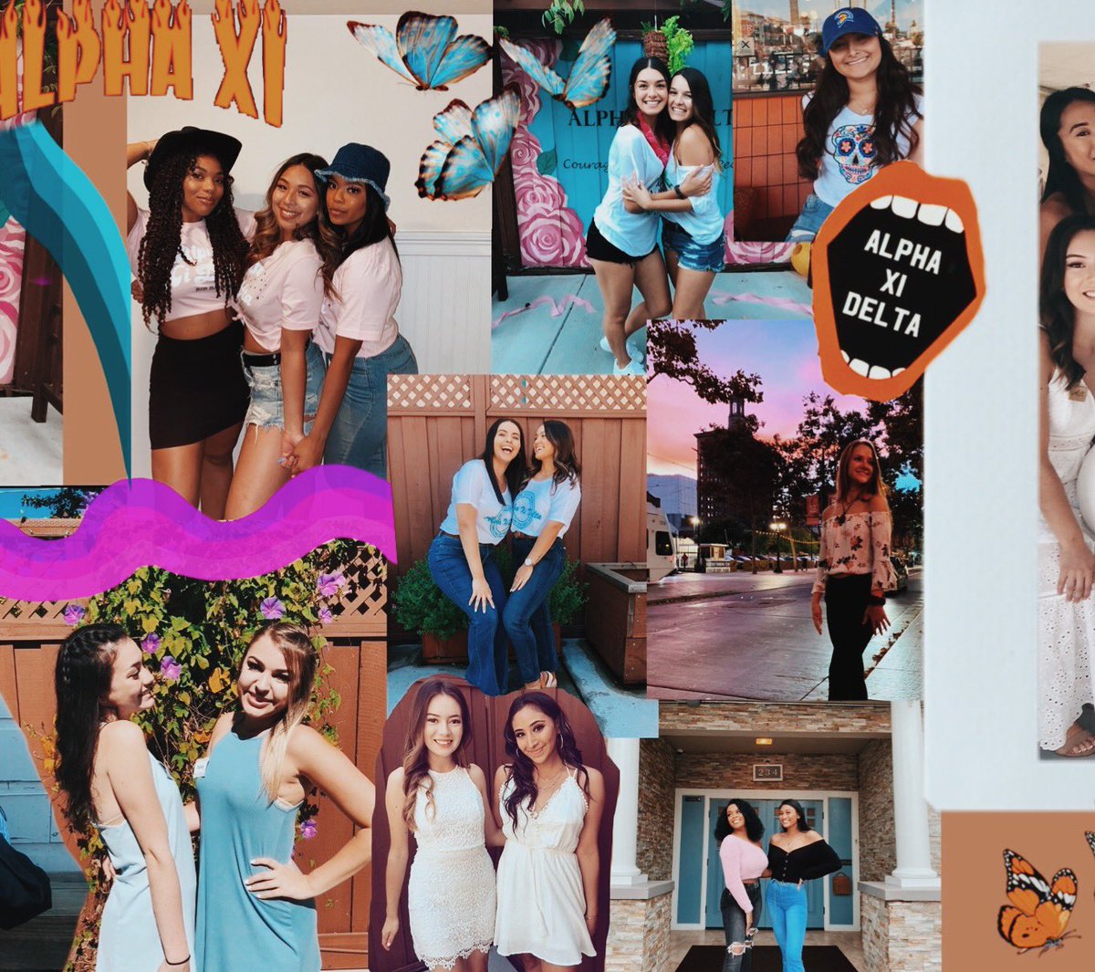Alpha Xi Delta SJSU tweet media