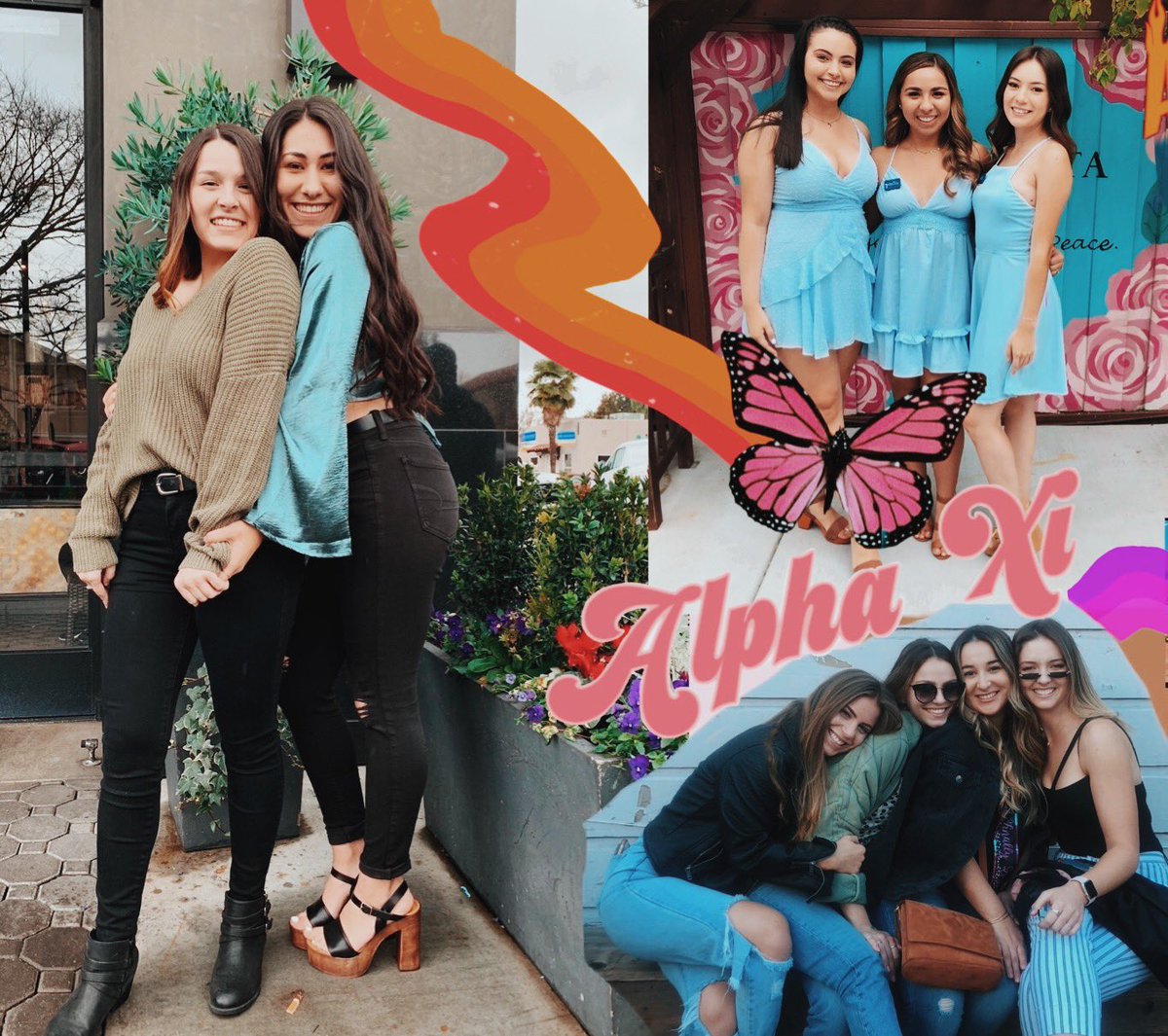 Alpha Xi Delta SJSU tweet media