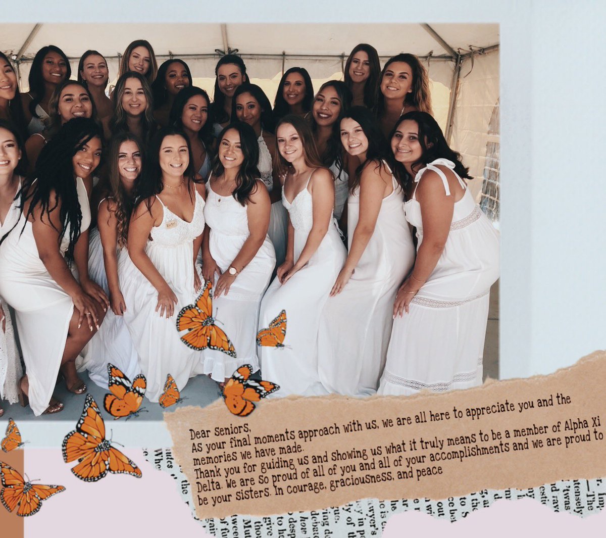 Alpha Xi Delta SJSU tweet media