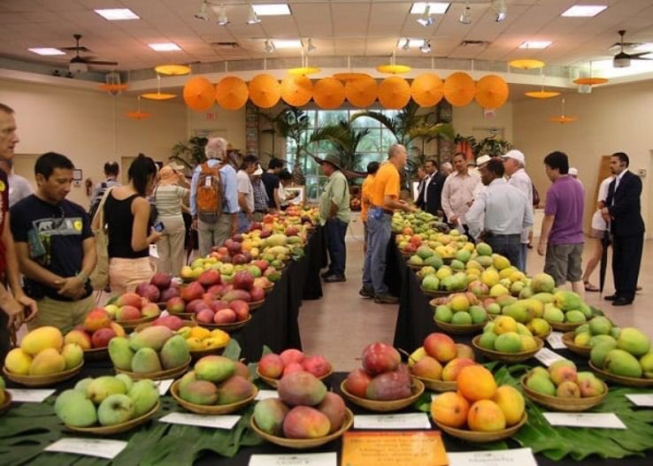 International Mango Festival in Delhi, India