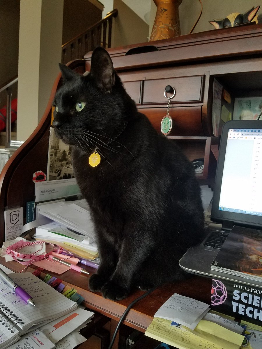 DusiaEditor's tweet photo. The guardian of the Oxford comma

#iamediting
#CatsOfTheQuarantine https://t.co/ioTFovKZGJ