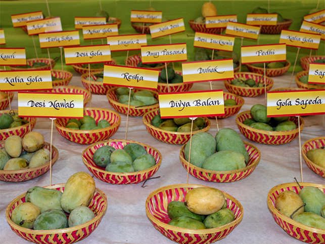 Raw mango varieties.