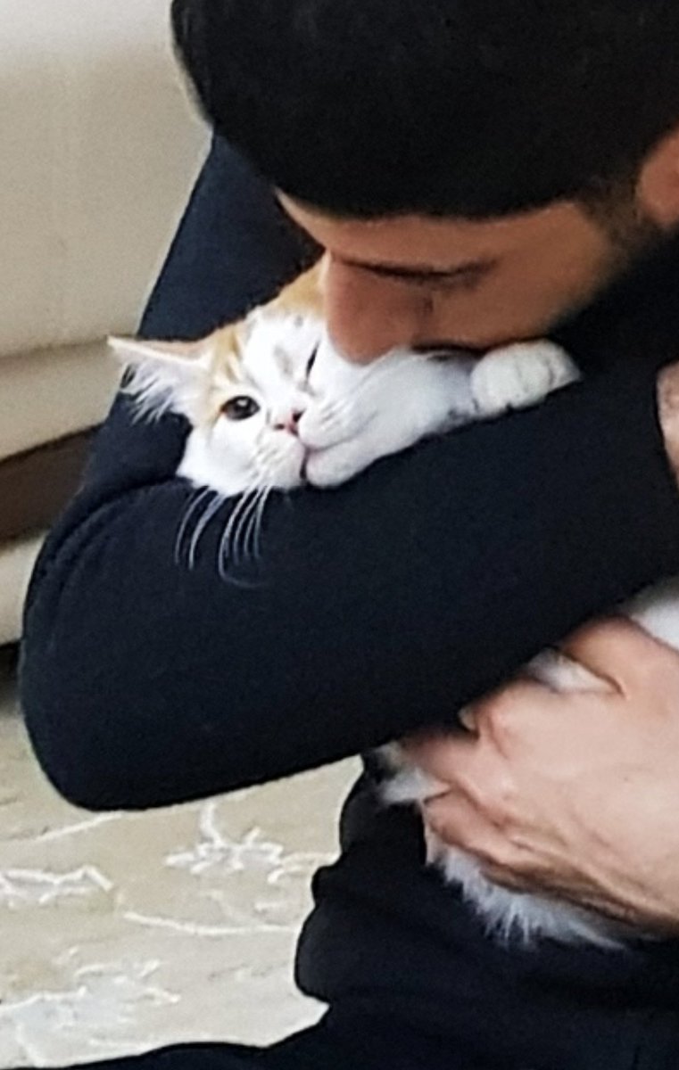 Lisan-ı haliyle "öpme beni bıraaaaak" diye sessizce haykırıyor bence 😄💜