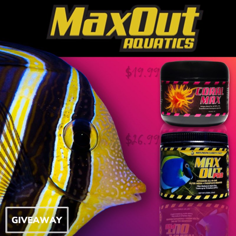 ReefStash's tweet photo. GIVEAWAY Spotlight: MaxOut Aquatics has graciously donated 5 sets of MaxOut Pro &amp; Coral Max Food!

GO BIG Giveaway $8k+ in prizes: https://t.co/e5QCW6oA9E

Brought to you by your 2019 BIG Saltwater Tank Giveaway winners @BeavsReef &amp; @ReefStache 

#MaxOutPro #CoralMax #goBIG https://t.co/YvPkkR0iWB