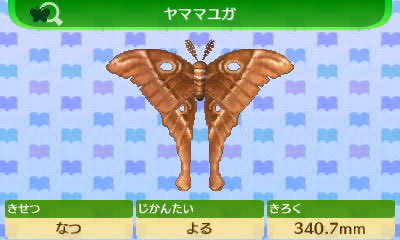 とびだせ どうぶつの森より「ヤママユガ」 私を引退へと追い込んだ史上