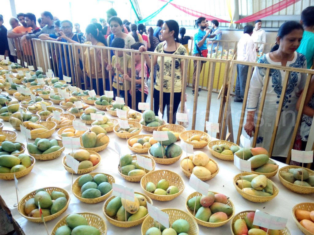 Mango festivals are now held across India  https://mangifera.res.in/mango_festival/ 