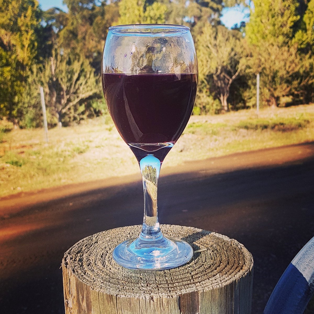 Pressing the Dornfelder today and the colour is amazing 👌🏼
Tomorrow our final press of this season, the Blaufränkisch! 🍇
#rareozzies #blaufränkisch #dornfelder #tasvegas #tamarvalleywine