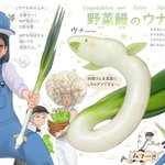 野菜のアニマル化!今回はウナギとネギをかけた生き物が完成した