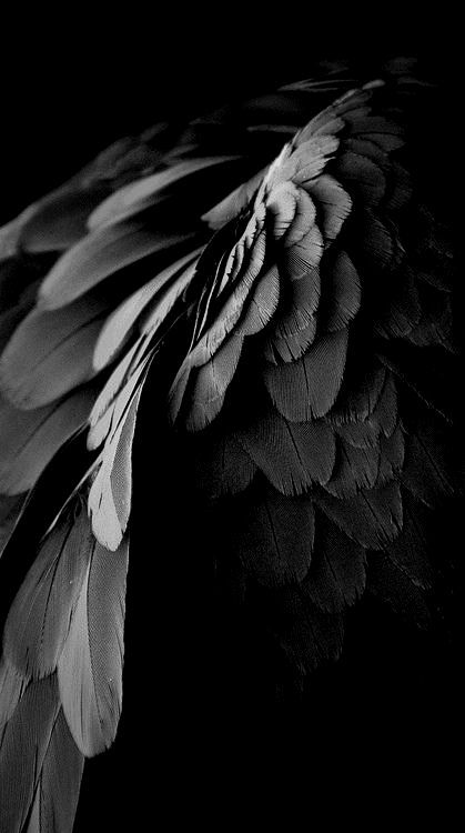 ◟ゑ.١𝐇𝐈𝐃𝐃𝐄𝐍 𝐅𝐀𝐌𝐈𝐋𝐘 𝐔𝐏𝐃𝐀𝐓𝐄: ♟ ⟅  α fαmιlч pαrtч wιth ➤ nσ gσαl σf endιng. ໒  ✿· ՙ ＠ #THVPARTY #THV