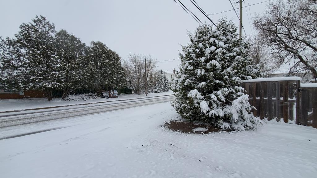 CridheL's tweet photo. Was in Canada visiting family when lockdown struck fast and furious. It's been an "interesting" spring here. 

Next time you're tired of rain and green and flowers all year round, just imagine... you too could be playing in the snow .... on May 9th.   😂🤣 https://t.co/0tRzd2En2r