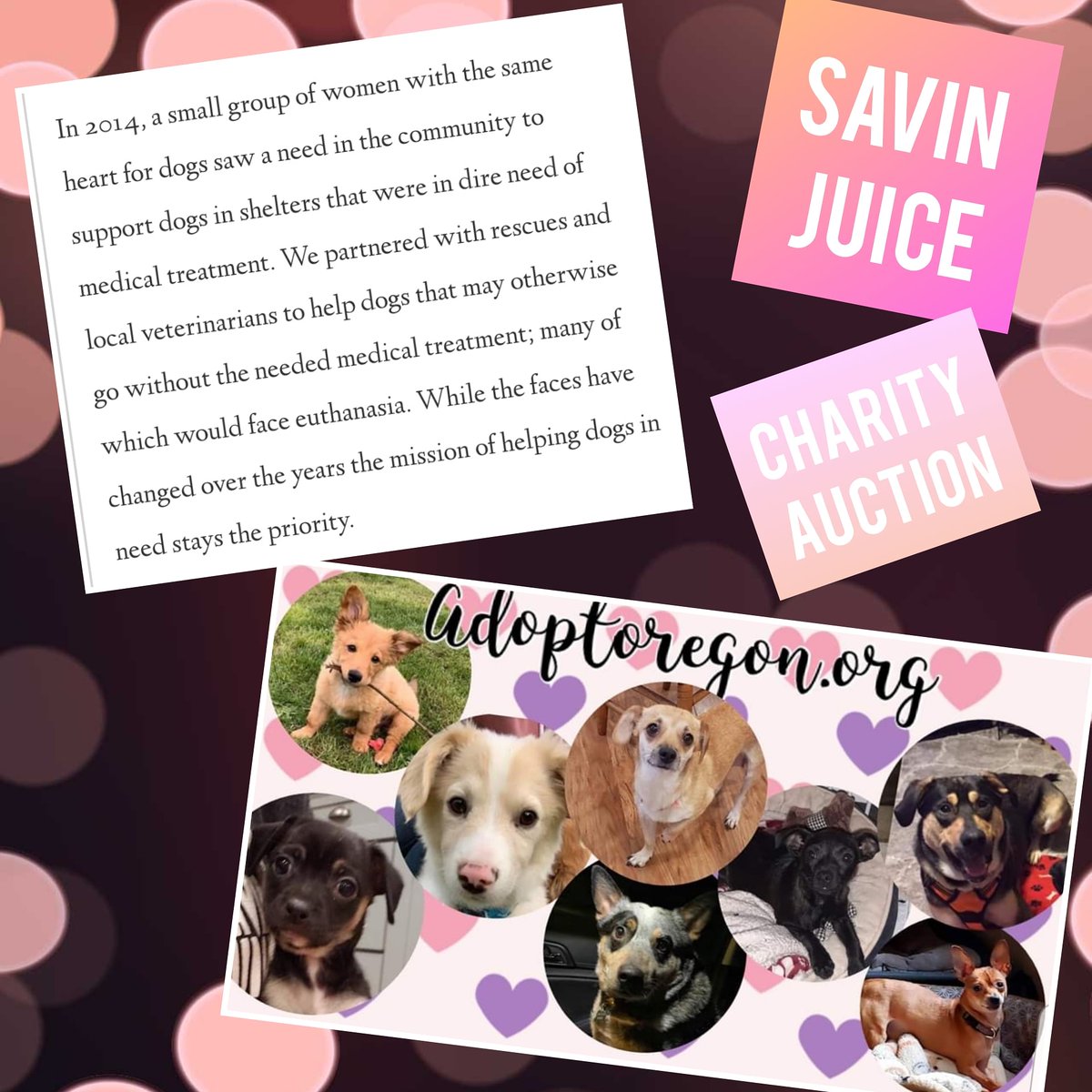 furcificnw's tweet photo. Help us reach $2500 for Savin Juice! Auctions, stickers &amp; more.

Only 3 hours left on auctions!

https://t.co/jnzYYRps8g https://t.co/CfiOUUIJxD