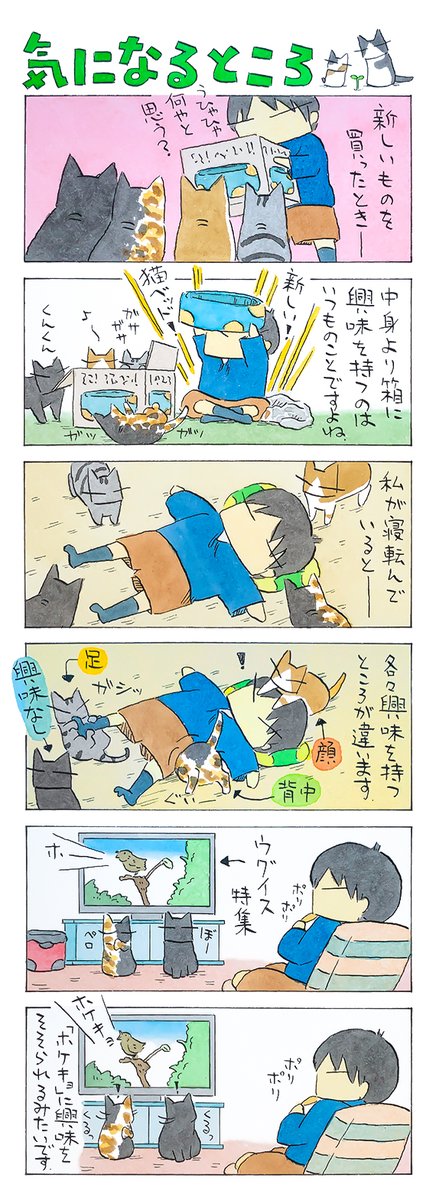 「興味」
興味を持ったら一直線。
興味の失い方も達人級。
瞬間の興味に全身を傾けます。
(久保智昭さんの「猫色スケッチブック」)他一枚更新しています。⇒https://t.co/mx2rXTepAv