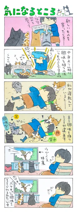 「興味」
興味を持ったら一直線。
興味の失い方も達人級。
瞬間の興味に全身を傾けます。
(久保智昭さんの「猫色スケッチブック」)他一枚更新しています。⇒https://t.co/mx2rXTepAv 