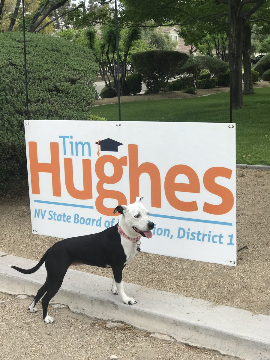 TimHughesNV's tweet photo. Enlisting as much support as possible! Check your mailbox for your primary ballot. https://t.co/fumbIfidRl https://t.co/SK4mw5glNi