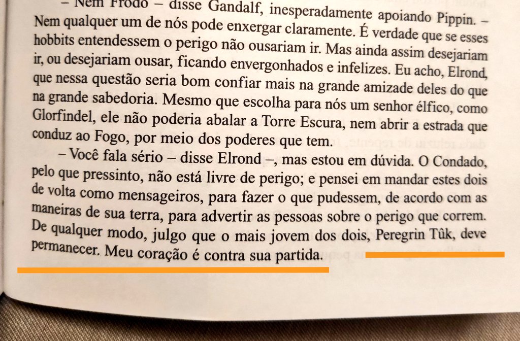 fersakurai's tweet photo. A Sociedade do Anel, página 293: e esse caso do Elrond com o Pippin? #misterio #LOTR #romance ou #Bromance #shippar https://t.co/pBRol90MPB