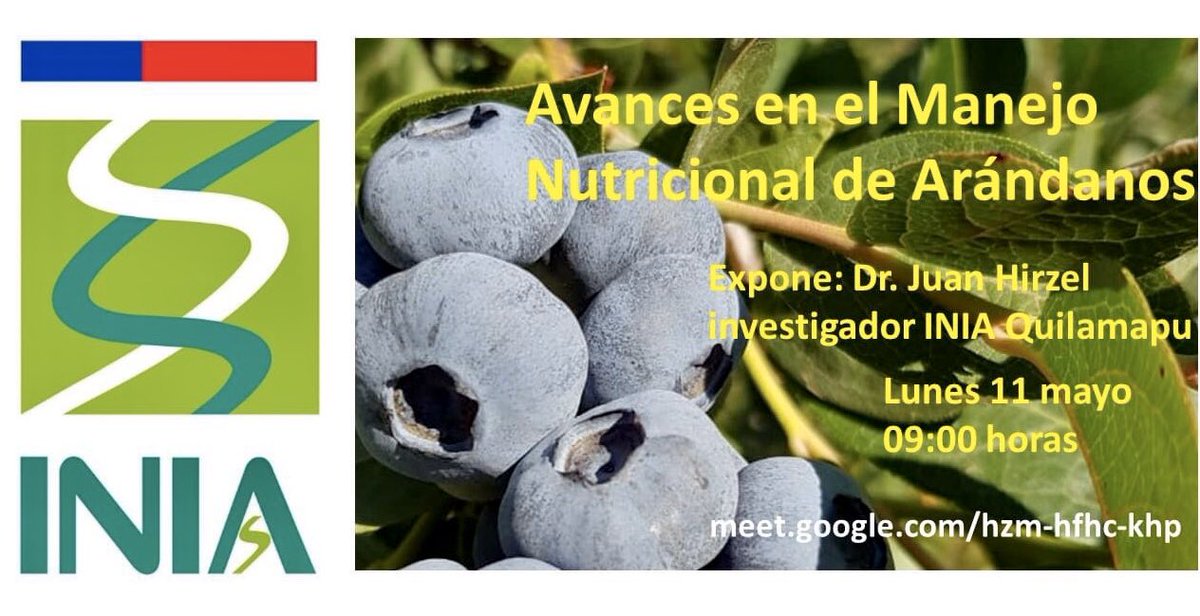 terramarket's tweet photo. Charla gratuita "Avances en el Manejo Nutricional de Arándanos".
Cuando: Lunes 11 mayo a las 09:00 horas.  Expone: Juan Hirzel,   investigador de INIA Quilamapu.
Estás interesado? Ingresa el día y hora señalada con el Link: 👉 https://t.co/4xdXPq9GIE https://t.co/3qMdJDdZbE