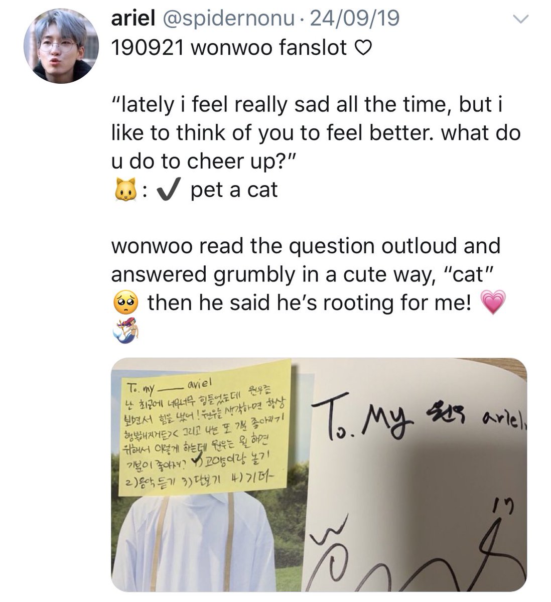 when op asked wonwoo what he does when he’s sad and he really said he pets a cat i- 