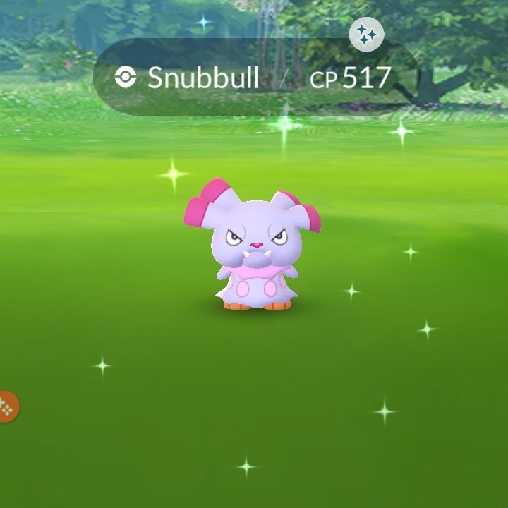 LabiWasabi's tweet photo. Got 3 shiny Snubble for the pogo event today. Though the 3 great throws in a row kept stressing me out :/ I felt bad bc my bf gave up and he complains he never gets shinies ;w;
#PokemonGO #shinypokemon #snubble https://t.co/YpEQ6iFbQJ