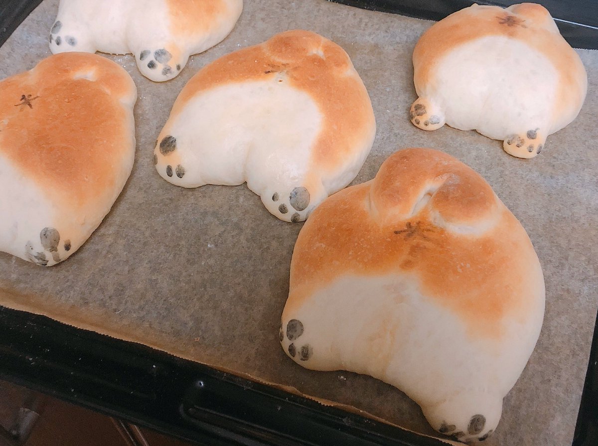 Sashimi_alamode's tweet photo. ケツパン愛らしすぎて世界が平和になる🍑🍞🍑 https://t.co/YuQUGnLyGT