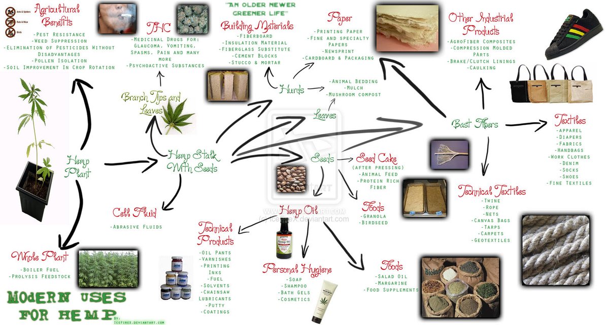 BouncerSquad's tweet photo. What You Need To Know About #CBD
What You Need To Know About The Super Food Hemp 
 
🧑‍🌾Ultimate Super Plant Hemp Can Literally SAVE Humanity

📽️https://t.co/weoq39m9ec

#IDWP #Organic #Health #Cannabis #Hemp #Farmers 
#Marijuana #GreenEnergy #StartUp #AI #IoT #infosec https://t.co/ldWGR9r6vk