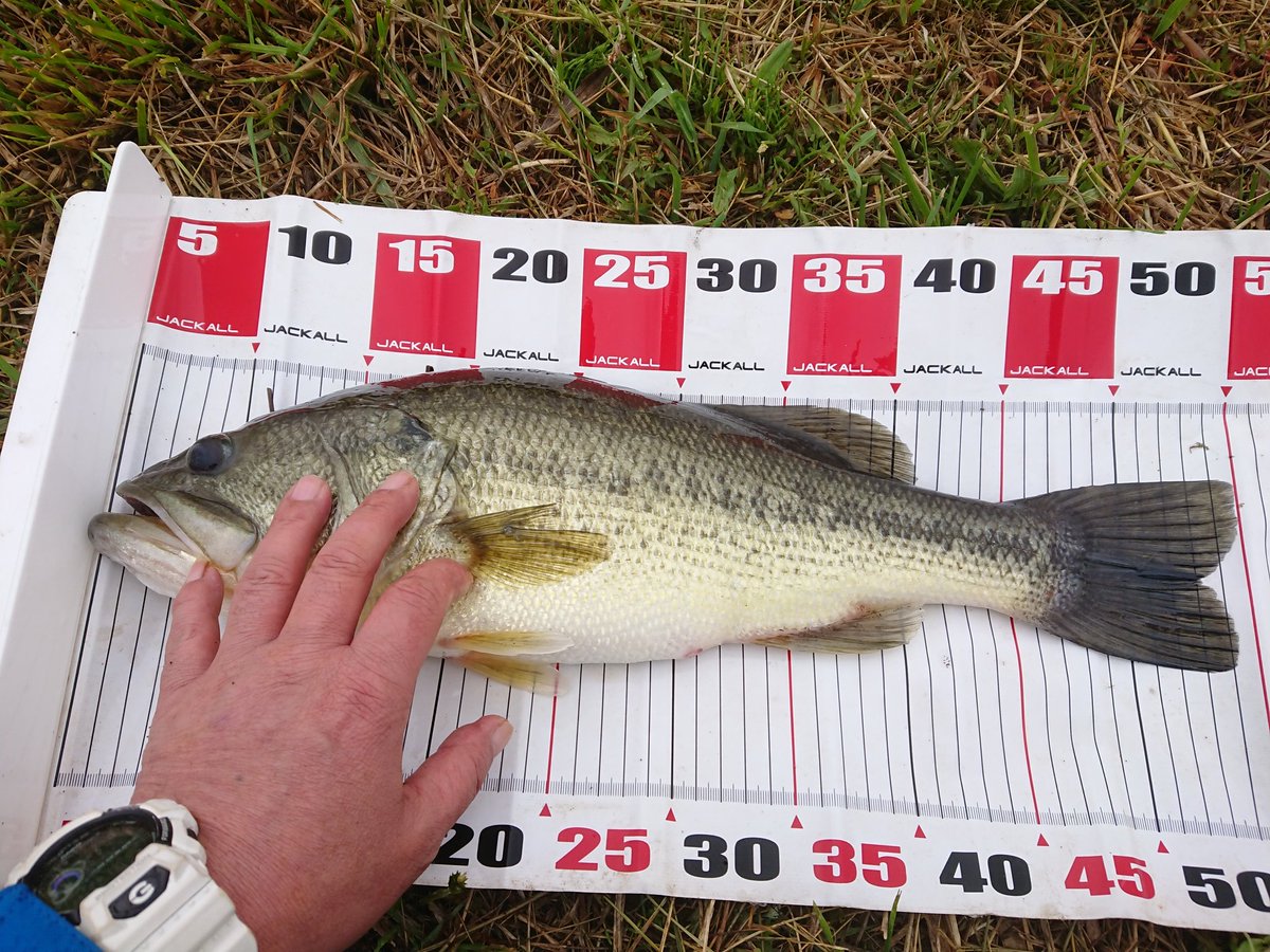 K Yasuhiro やっさん 開始一時間で初バス50up戴きましたww 雨降ってるしもう いいかなｧ 青森つがる市 メロンロード 初バス