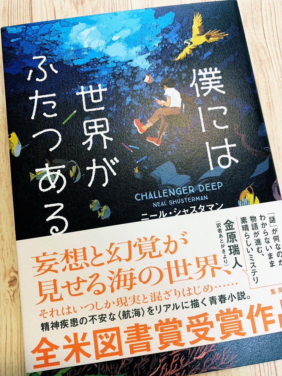 Wide Angles Book 39 僕には世界がふたつある 統合失調症 の少年 現実と妄想世界 のあやふやな境界線上で生きる感覚 苦しみが描かれる コーヒーに混ざっていくミルクみたいにふたつの世界が滑らかにつながる描写は見事 彩に満ちた冒険をしつつ精神疾患 Wide Angles Book 39 僕には世界がふたつある 統合失調症 の少年 現実と妄想世界 のあやふやな境界線上で生きる感覚 苦しみが描かれる コーヒーに混ざっていくミルクみたいにふたつの世界が滑らかにつながる描写は見事 彩に満ちた冒険をしつつ精神疾患