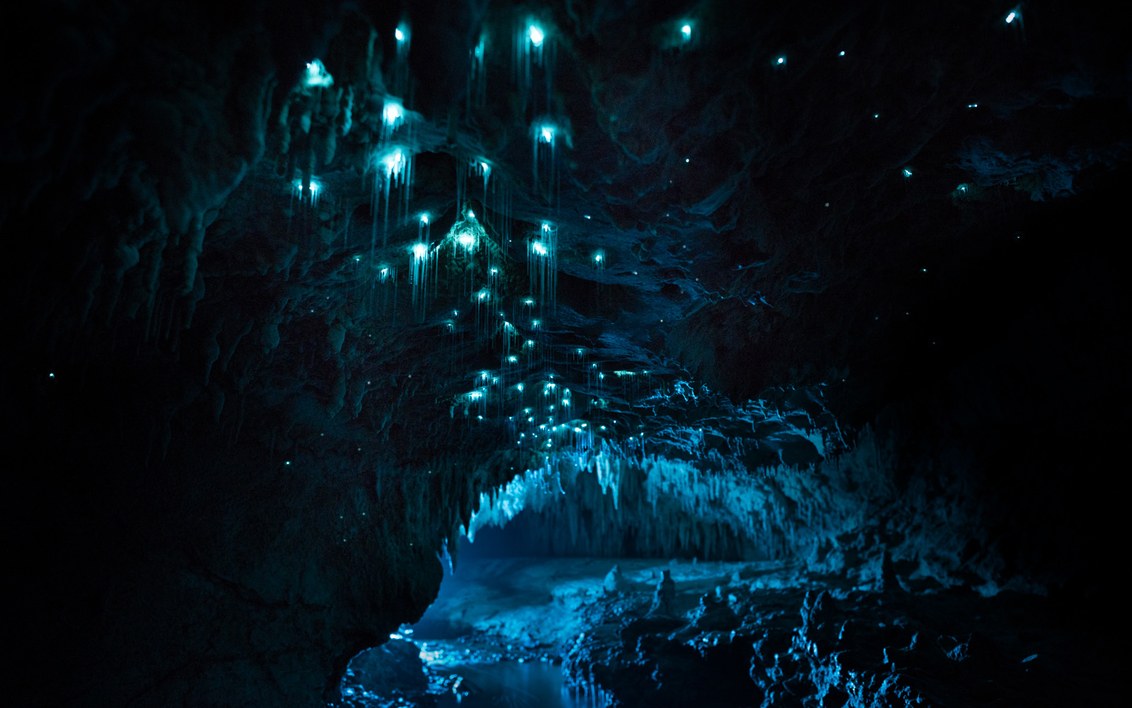 WIRED Science tweet media