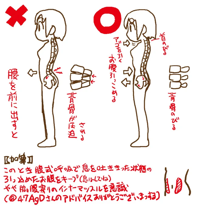 【備忘のためのbot】腰痛治療に行った整形外科で聞いた話。腰が痛いからといって頻繁に背中を反らせてると、背骨が圧迫されて痛くなる。背中を反らせるのではなくお腹を引っ込めろだって。
(加筆)腹式呼吸で息を吐き尽くした状態で引っ込めたお腹をキープ。脇腹寄りのインナーマッスルを意識する。 