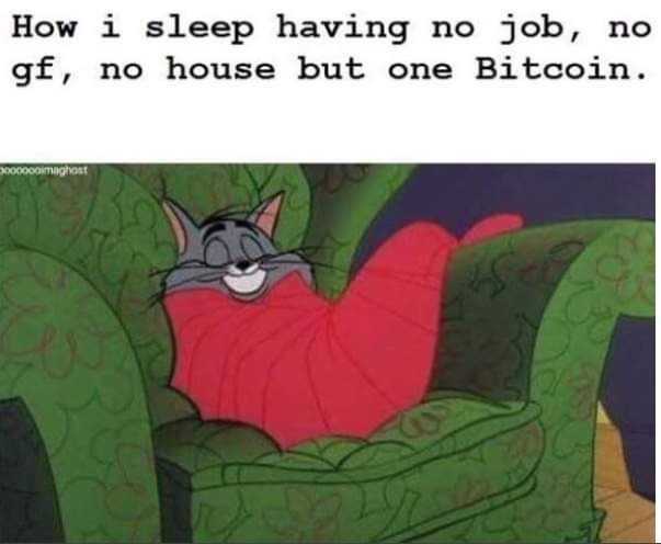 Bitsler's tweet photo. 😂Do you feel like this too? 

Sometimes I do ! 😍💰😜

Let us know and comment bellow ✍

#bitsler #casino #btc #crypto #News #bitcoin #covid #coronavirus #growth #money #cryptocurrency️ #safe #feelgood #grateful #happylife #buildingmyfuture https://t.co/k8K4BcIgHk