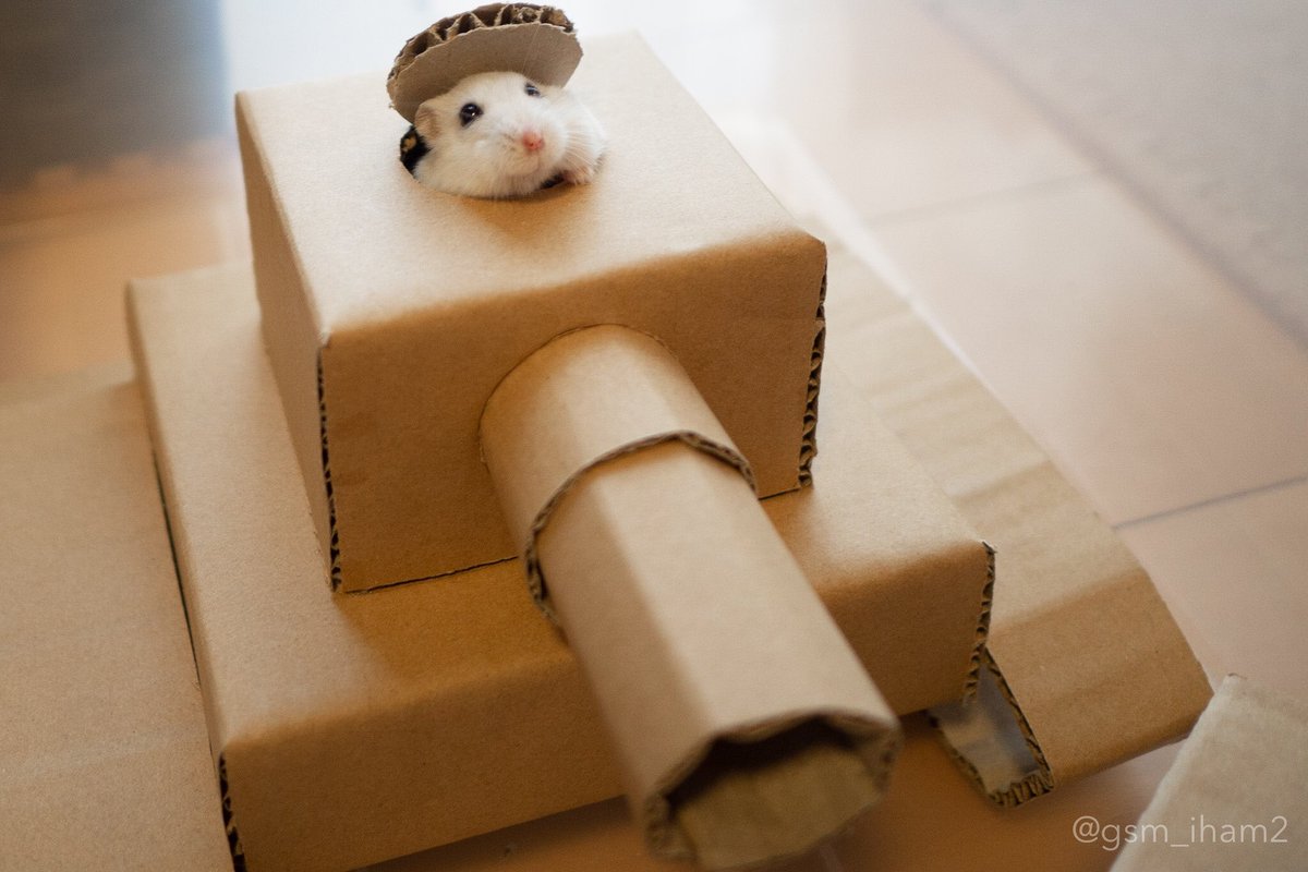 ぱる on Twitter: "いいねとリツイートたくさんありがとうございます!" - EXo3MD UMAEB1Hw ぱる on Twitter: "いいねとリツイートたくさんありがとうございます!" - EXo3MD UMAEB1Hw