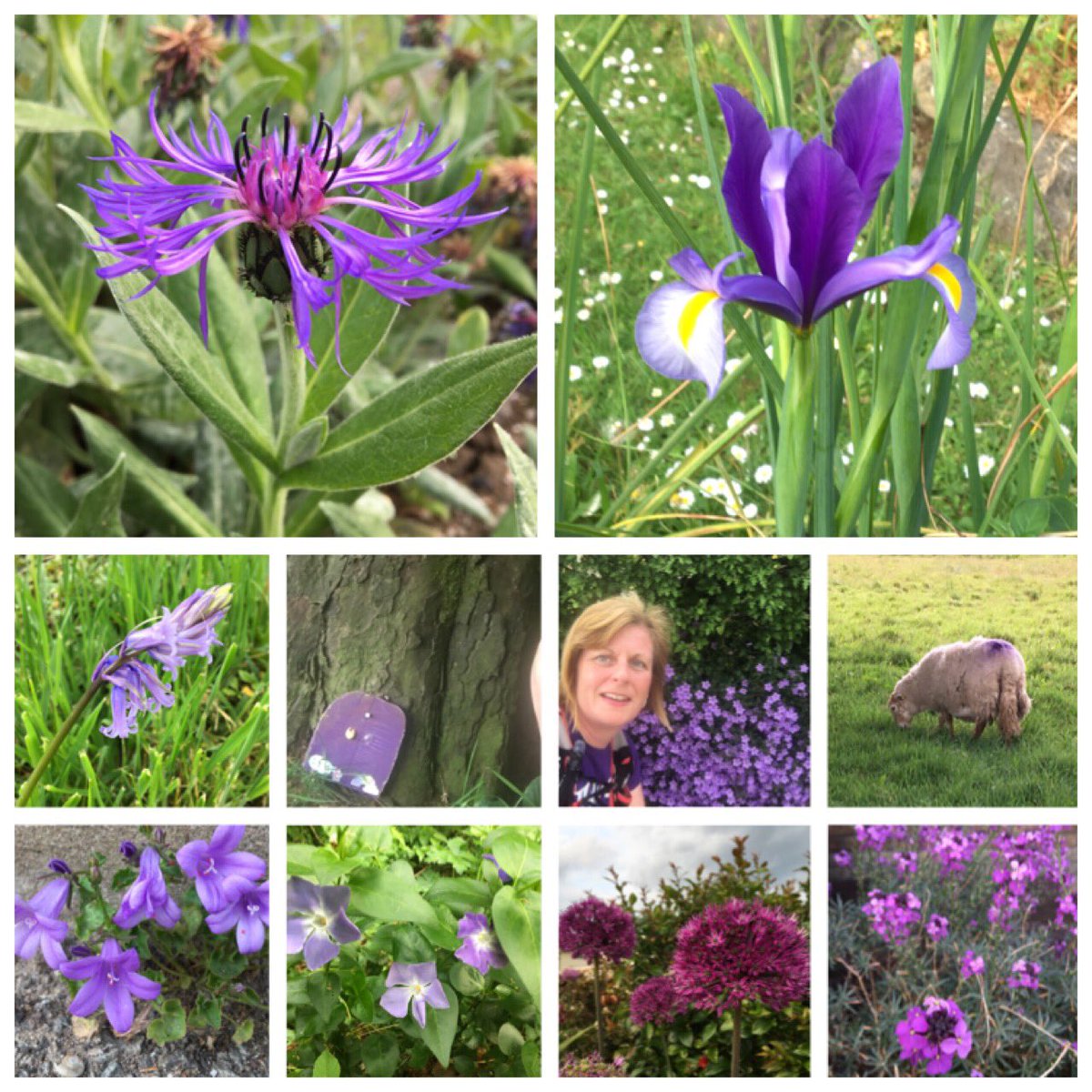 Loving our virtual rainbow 🌈 breakout challenge set by our running club. It’s amazing just how much colour you can find on a 5km run. My efforts for Purple day