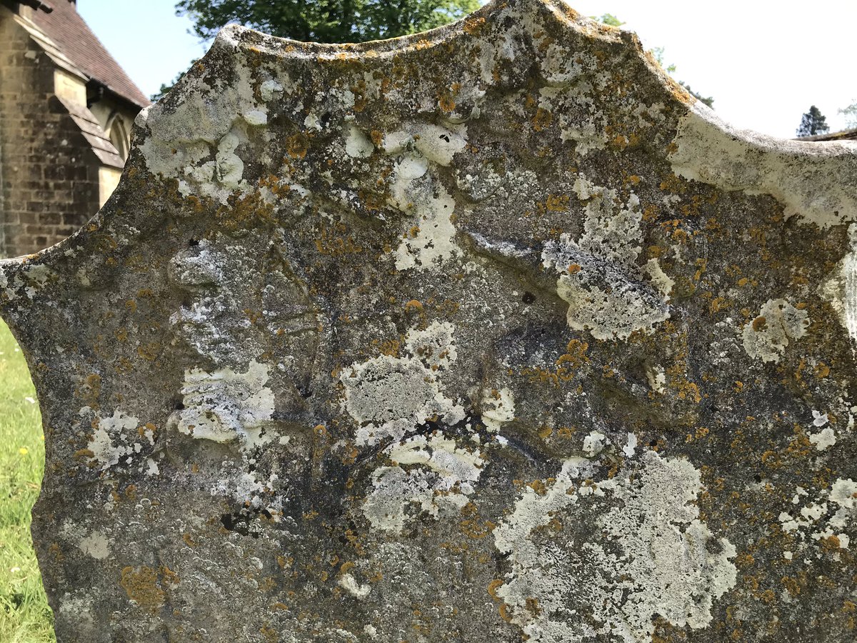 EngChurchPics's tweet photo. It was fortunate that yesterdayβs walk started and finished at St Mary, #Iping. On our return the sun had moved, and thus allowed a much better shot of this gravestone with a skeleton holding a bow and arrow. The last picture is one I took as we set off around noon. #mementomori https://t.co/XNRbqP89bz